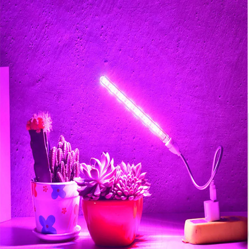 LED Grow Light Full Spectrum Plant Lamp with Flexible Hose Indoor Greenhouse Phyto USB Lamp Flower Seedling Hydroponic Light